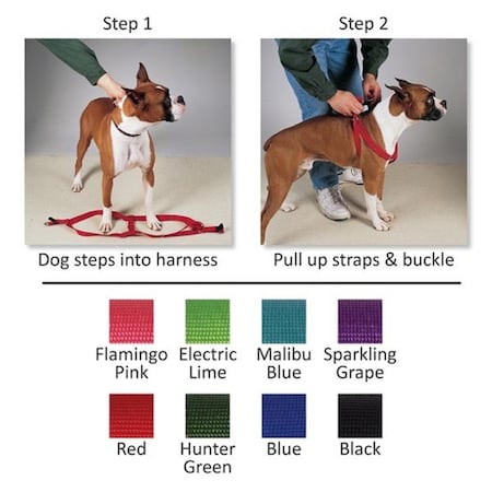 Casual Canine 25-40 in. Nylon 2 Step HarnessBlue ZA807 25 62